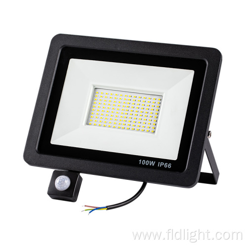 Small size intelligent induction outdoor smd flood light